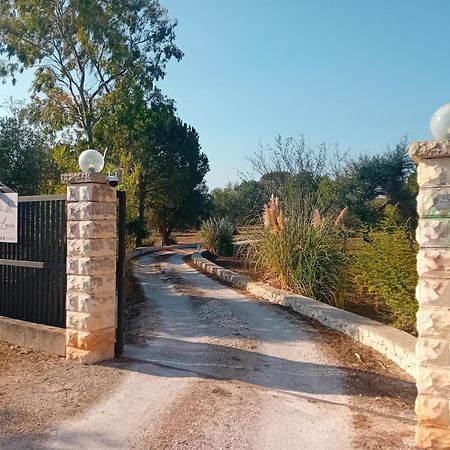 צ'יסטרנינו Villa Il Leccio - Trulli מראה חיצוני תמונה