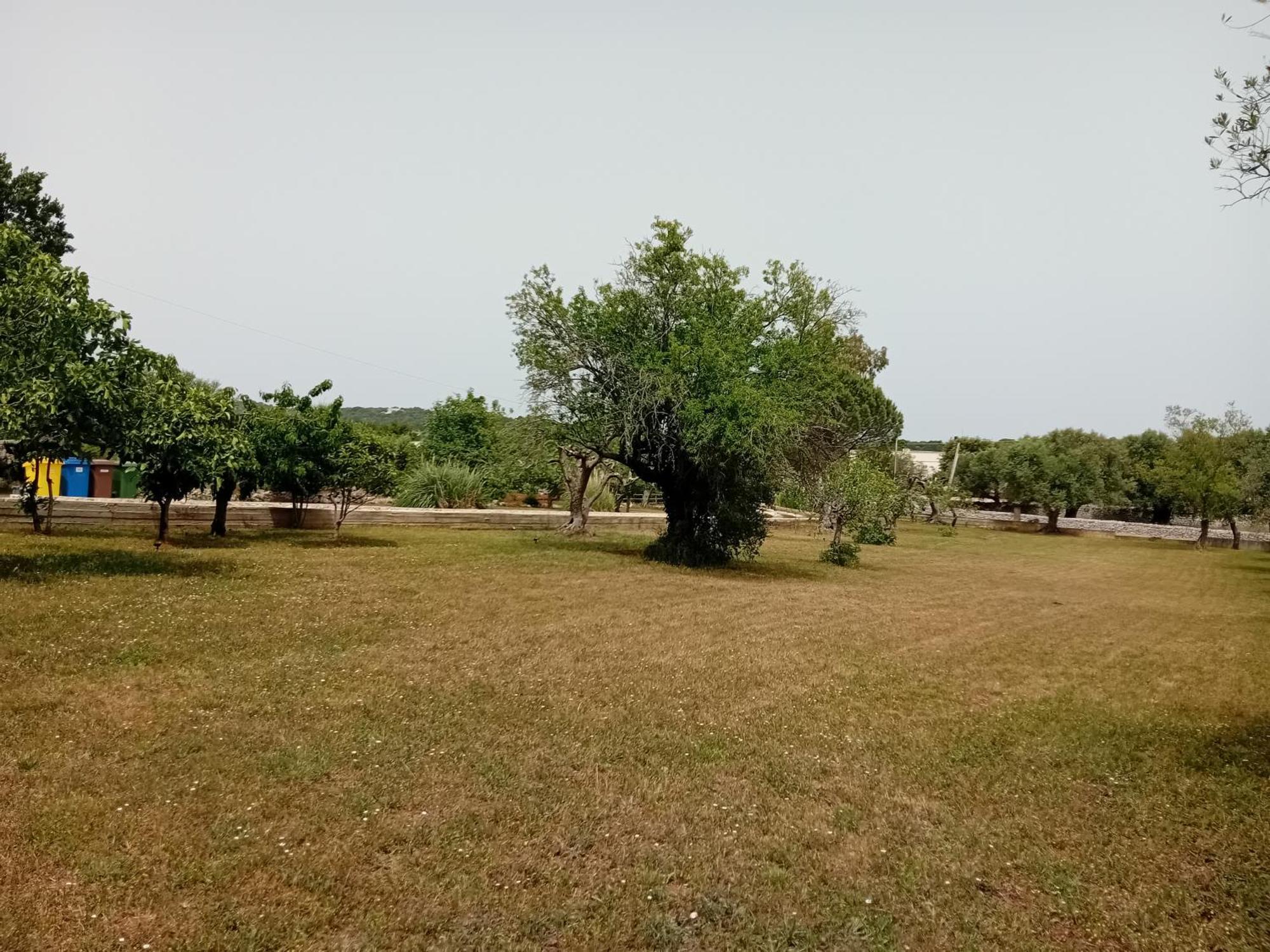 צ'יסטרנינו Villa Il Leccio - Trulli מראה חיצוני תמונה